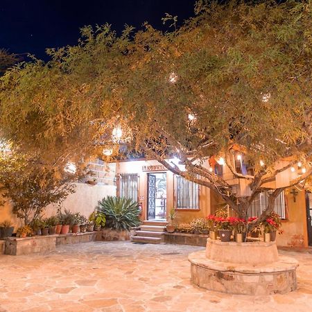 Hotel Casa Del Arbol برنال المظهر الخارجي الصورة