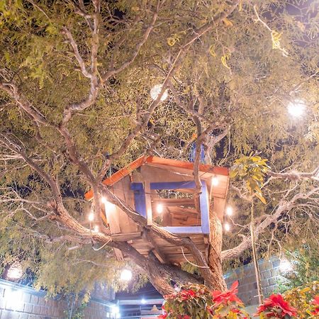 Hotel Casa Del Arbol برنال المظهر الخارجي الصورة