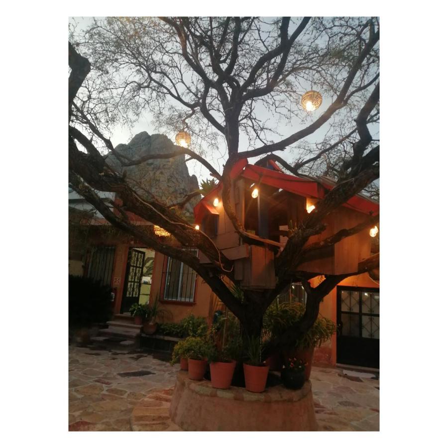 Hotel Casa Del Arbol برنال المظهر الخارجي الصورة