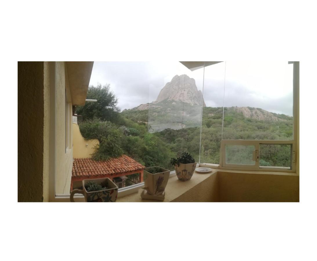 Hotel Casa Del Arbol برنال المظهر الخارجي الصورة