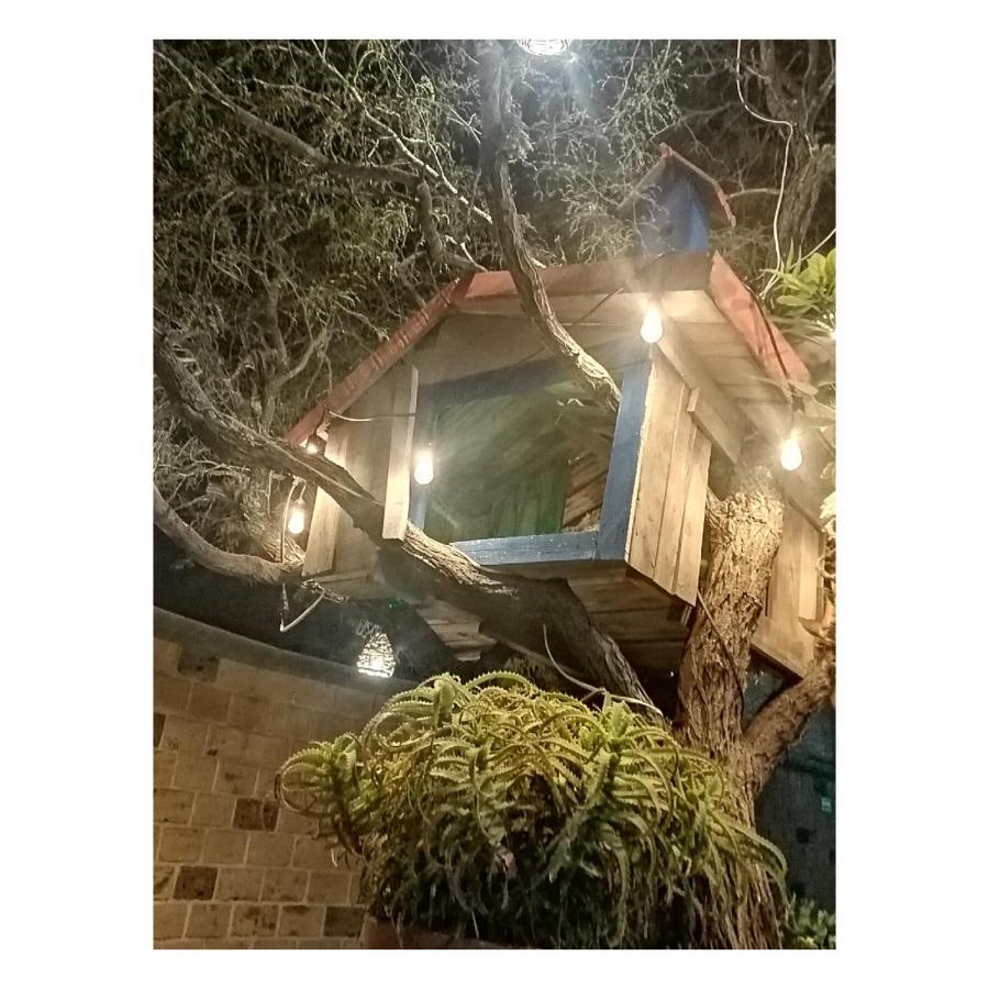 Hotel Casa Del Arbol برنال المظهر الخارجي الصورة