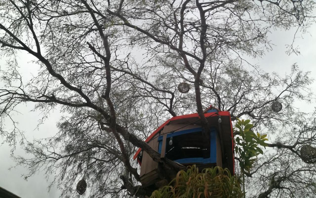 Hotel Casa Del Arbol برنال المظهر الخارجي الصورة