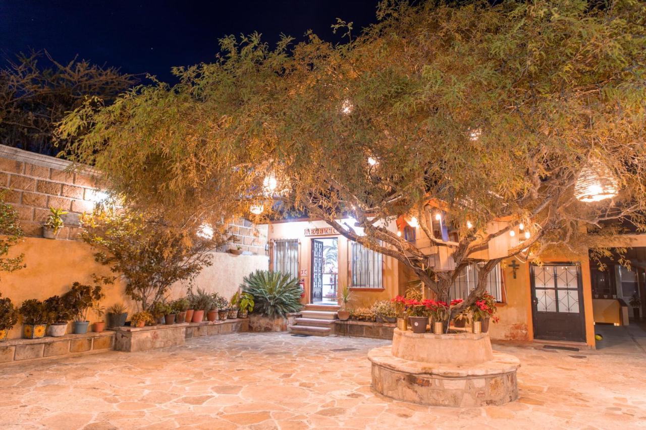 Hotel Casa Del Arbol برنال المظهر الخارجي الصورة