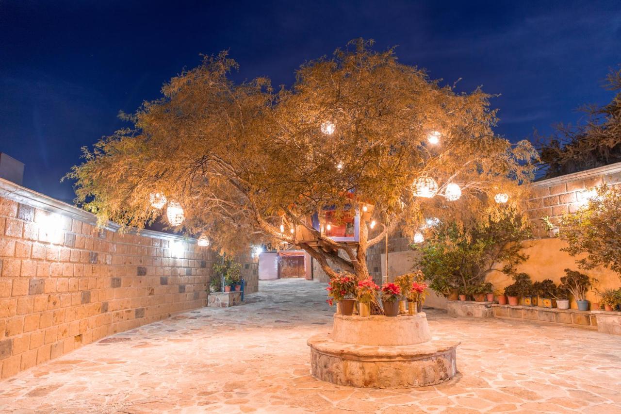 Hotel Casa Del Arbol برنال المظهر الخارجي الصورة