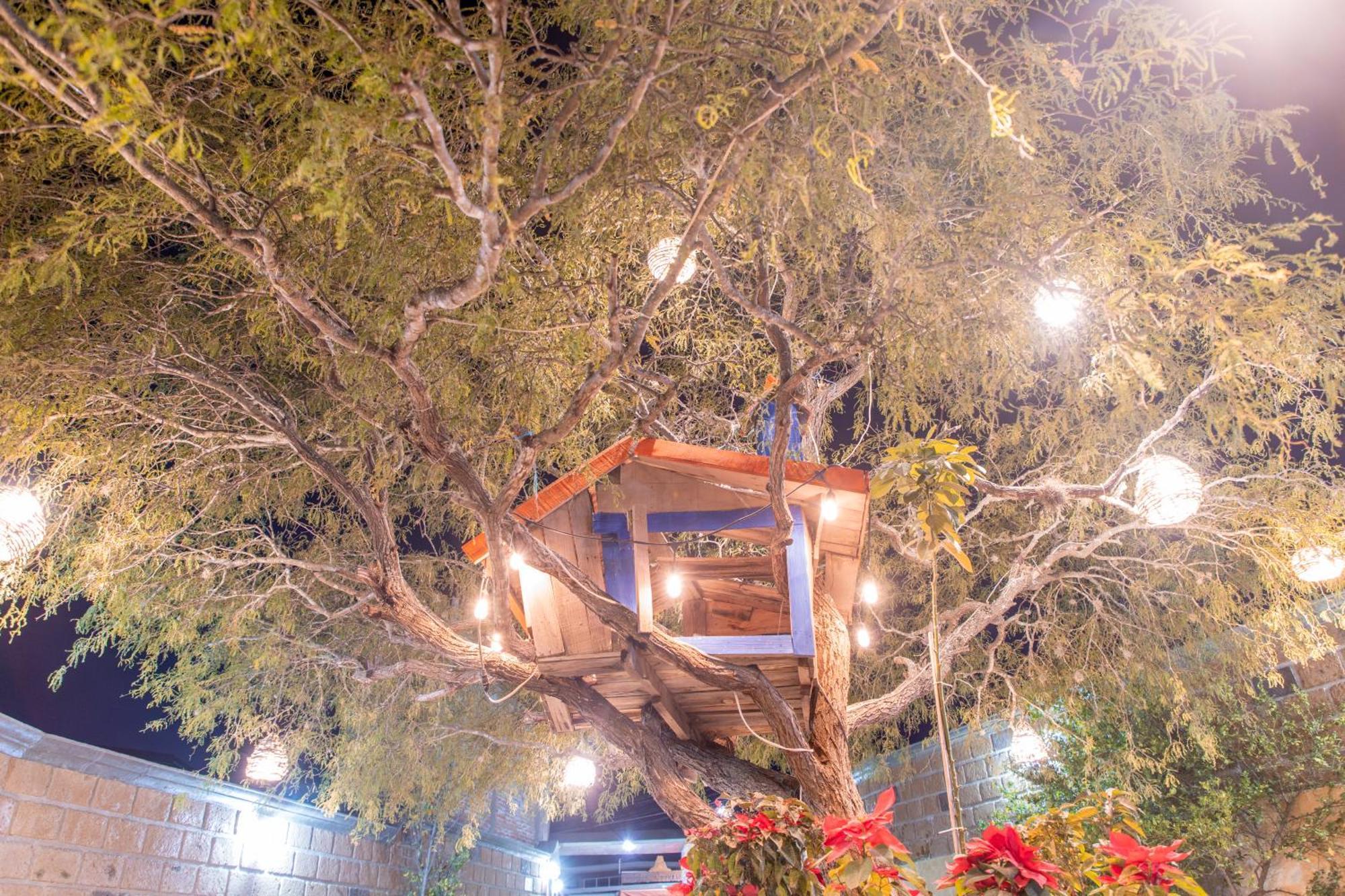 Hotel Casa Del Arbol برنال المظهر الخارجي الصورة