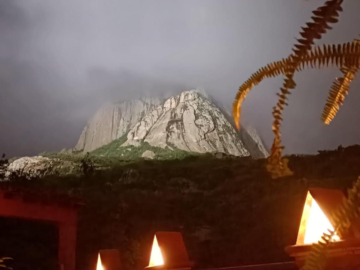 Hotel Casa Del Arbol برنال المظهر الخارجي الصورة